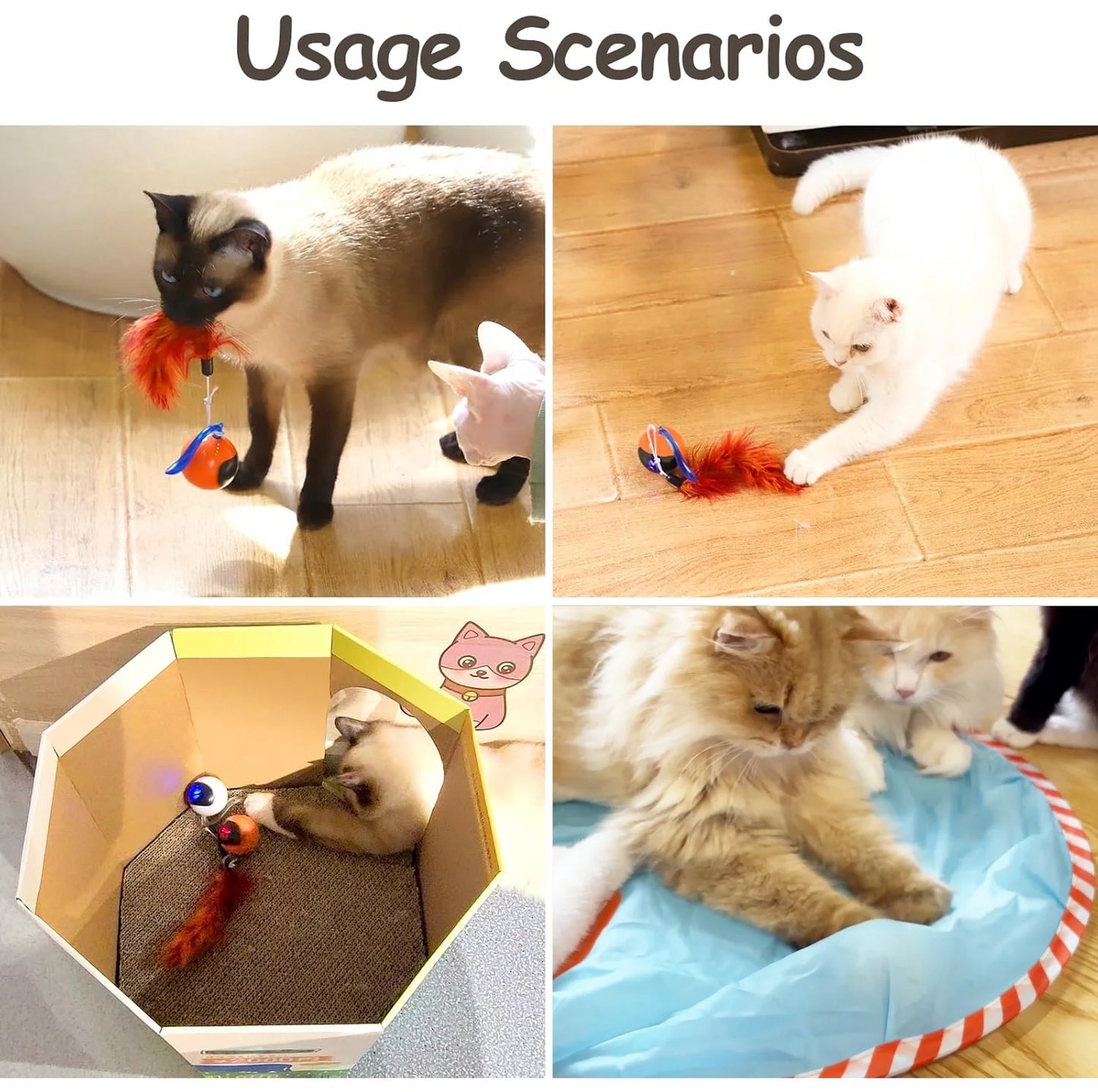 Cat Toy, Interactive Automatic Moving Ball Bundle, Feather in a Pack, Smart Electric Teaser with USB Rechargeable for Kitten and Pets