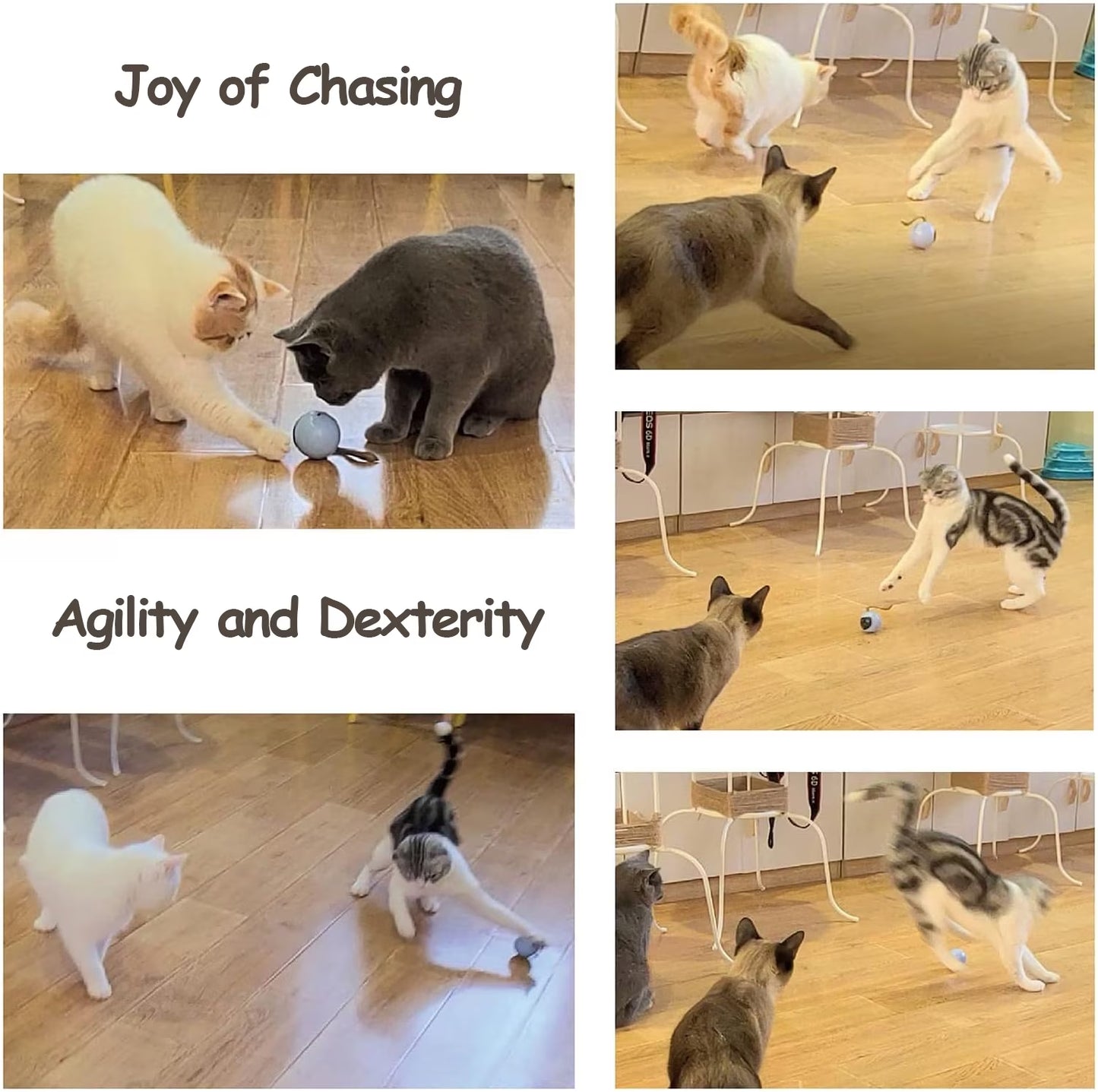 Cat Toy, Interactive Automatic Moving Ball Bundle, Feather in a Pack, Smart Electric Teaser with USB Rechargeable for Kitten and Pets