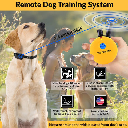 E-Collar  ET-402 Dog Training Collar, 2 Dog System, Yellow | Humane with Remote, 100 Safe Tapping Stimulation Levels, Waterproof Rechargeable, 3/4 Mile Range