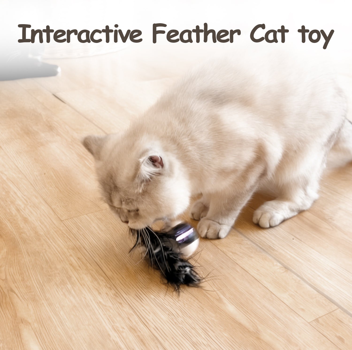 Cat Toy, Interactive Automatic Moving Ball Bundle, Feather in a Pack, Smart Electric Teaser with USB Rechargeable for Kitten and Pets